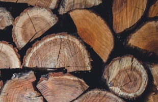 Több mint 10 éve vesz részt a szociális tűzifa programban a Sefag