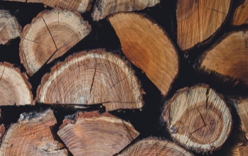 Több mint 10 éve vesz részt a szociális tűzifa programban a Sefag