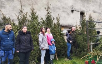 Karácsonyfával lepték meg a rászorulókat