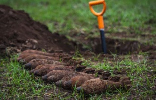 Robbanószert találtak a Balatonnál