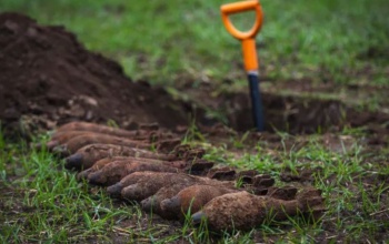 Robbanószert találtak a Balatonnál