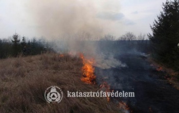 Megfelelően működött a kaposvári katasztrófavédelmi kirendeltség