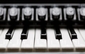 Zongora vagy páncélszekrény költöztetése? Mindenre van megoldás!