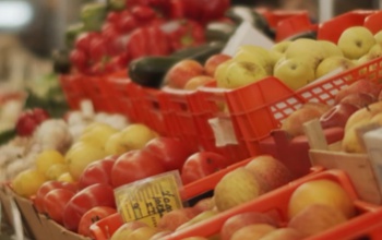 Fogyasztóvédelmi konzultáció indul