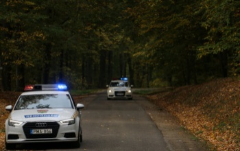Két jogsi nélküli sofőrt buktattak le szombaton a somogyi rendőrök