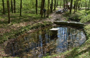 Erdei túra: Mátyás kút és Dennai feneketlen kút