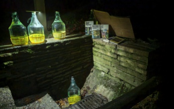 „Mi lesz veled, emberke?” – alkalmi minitéka a Tókaji parkerdőben