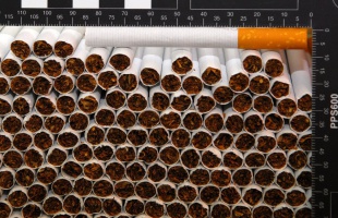 Becsempészés helyett helyben gyártják az illegális cigarettát