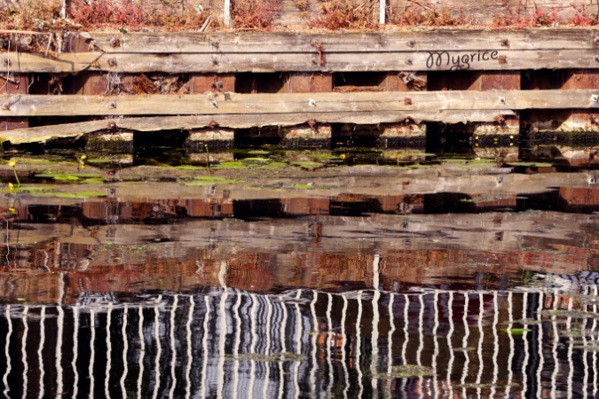 Kerítés-felülvizsgálat