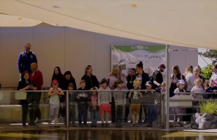 Kaposvári ovisok lepték el a pécsi állatkertet