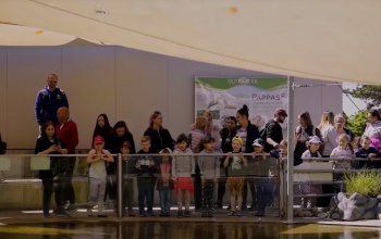 Kaposvári ovisok lepték el a pécsi állatkertet