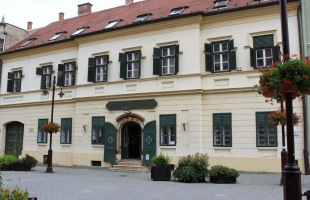 Egy oroszlán születése