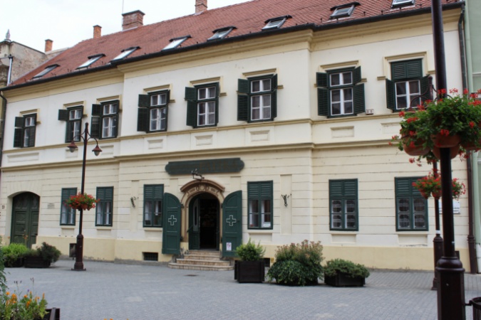 Egy oroszlán születése