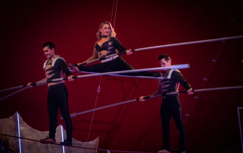 Hatalmas show-val készül a Hungária Nagycirkusz Kaposváron