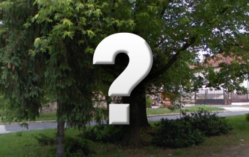 Tudja, hol van Kaposváron a Márciusi ifjak kertje?