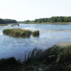 Fotó: Duna-Dráva Nemzeti Park