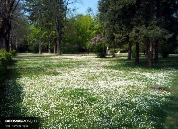 Százszorszép Berzsenyi park