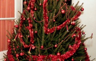 Erzsébet és András karácsonyfája