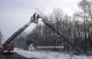 Kidőlt fák és árokba csúszott autók adtak munkát a tűzoltóknak