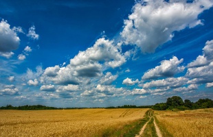 Megérkezik az igazi nyár