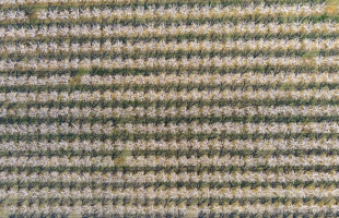 Március utolsó napjaiban is lesznek mínuszok