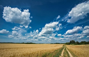 Meleg nyári idő, záporokkal fűszerezve