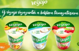 A vásárlók döntik el a jövőt – fókuszban a FINO Vegajó