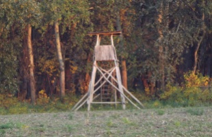 Magaslest lopott a frissen szabadult férfi