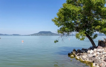 Biztonságosak a balatoni vendéglátóhelyek a Nébih szerint
