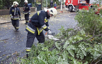 Tűzoltói összefogás a balatoni viharkárok felszámolásában