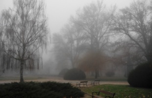 Ködös, őszi hangulat a Berzsenyi parkban
