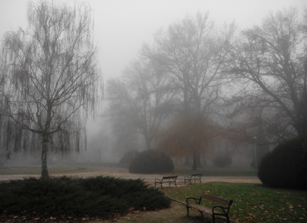 Ködös, őszi hangulat a Berzsenyi parkban