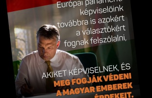 Néppárti ütközetek