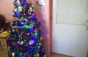 Koltai család karácsonyfája