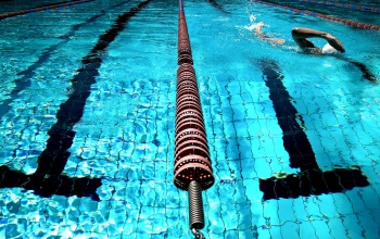 102-204 ezer forintot kapnak az élsportoló egyetemisták