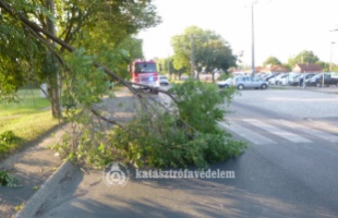 Leszakadt faágak, kisebb tűzesetek - nem volt hiány a mentésekből