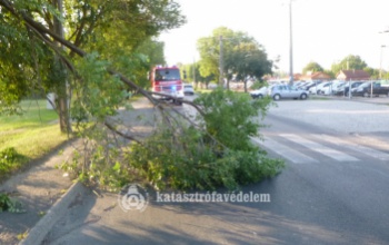 Leszakadt faágak, kisebb tűzesetek - nem volt hiány a mentésekből