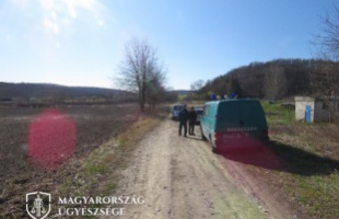 Kifosztották a somogyi erdőket az orvvadászok