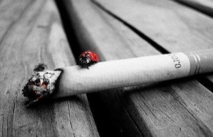 34 helyen árulhatnak cigit Kaposváron