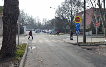 Egy óra alatt öt autós hajtott át a Stop-táblánál