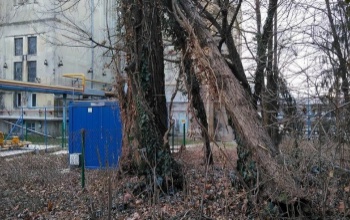 Kéménytüzek, kidőlt fák, megbontott tetők január hatodikán