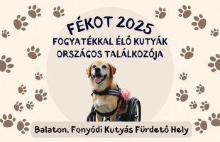 Fogyatékossággal élő kutyáknak szerveznek találkozót Somogyban