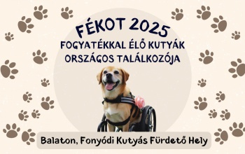 Fogyatékossággal élő kutyáknak szerveznek találkozót Somogyban