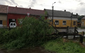 Viharos szélre figyelmeztetnek Kaposváron