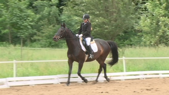 Lovasklub született