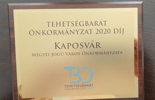 Tehetségbarát önkormányzat-díjat vehetett át Kaposvár