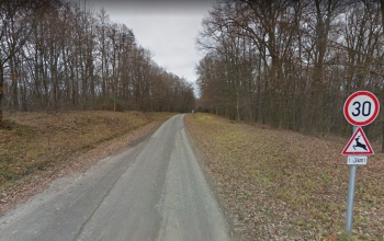 Szerdán és csütörtökön ismét útlezárások lesznek a zselici erdőben