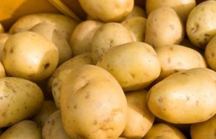 A nagy krumplirablás