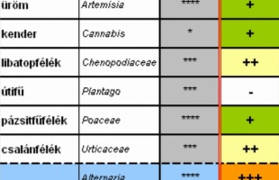 Nagyon magas a pollenterhelés
