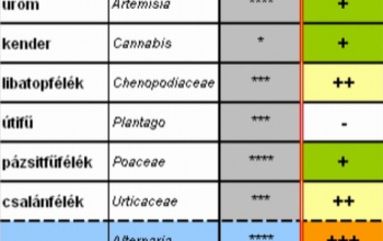 Nagyon magas a pollenterhelés